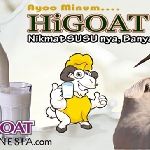 Higoat Susu Kambing Lebih Mudah Dicerna Bayi