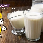 Higoat Pentingkah Minum Susu Secara Rutin bagi Usia Produktif?